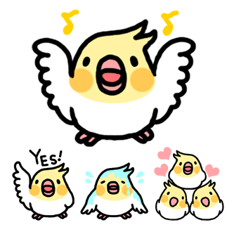 オカメインコ「おかめいんこっこ」