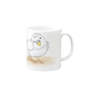 セキセイインコ　レティ【まめるりはことり】