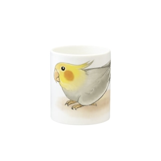 オカメインコ　レキ【まめるりはことり】