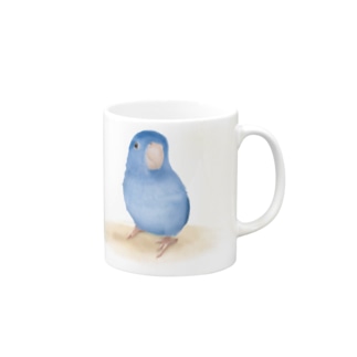 ブルーマメルリハ【まめるりはことり】