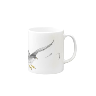 隼ファルコン【まめるりはことり】