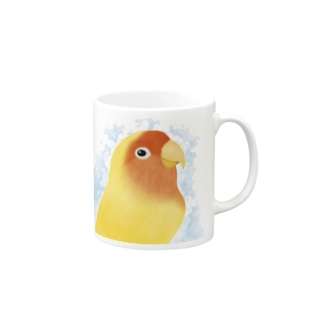 ほんわかコザクラインコ　ルチノー【まめるりはことり】