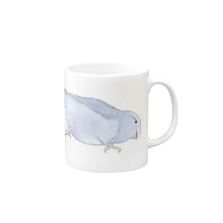 マメルリハ　もちふりちゃん【まめるりはことり】