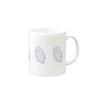 可愛いアメリカンホワイト　マメルリハちゃん【まめるりはことり】