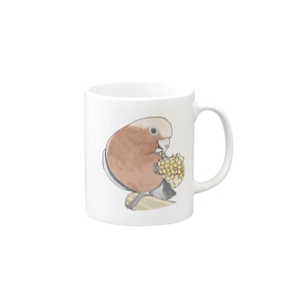 モモイロインコちゃんとトウモロコシ【まめるりはことり】