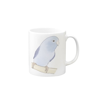 おしゃまなマメルリハのるりちゃん【まめるりはことり】