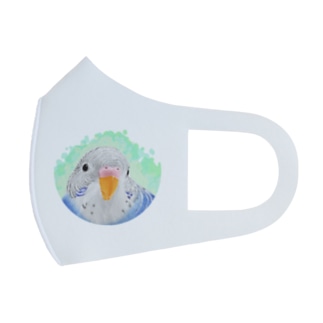 セキセイインコ　オパーリン【まめるりはことり】