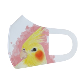 ほんわかオカメインコ　ルチノー【まめるりはことり】