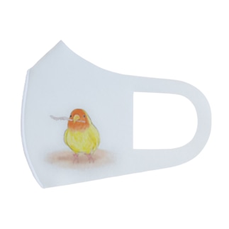 コザクラインコ　レイ【まめるりはことり】