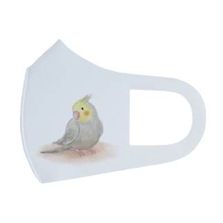 オカメインコ　シナモン【まめるりはことり】