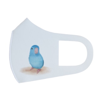 ブルーマメルリハ【まめるりはことり】