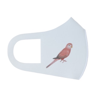 アキクサインコ　ピンク【まめるりはことり】