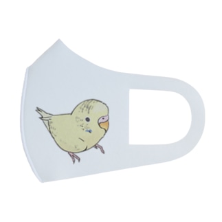 可愛いセキセイインコ　おすましちゃん【まめるりはことり】