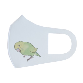 首傾げ　スパングルセキセイインコちゃん【まめるりはことり】