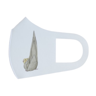 尾羽がピン　可愛いオカメインコちゃん【まめるりはことり】