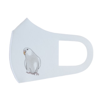 アルビノセキセイインコちゃん【まめるりはことり】