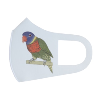 色合いが綺麗なゴシキセイガイインコちゃん【まめるりはことり】