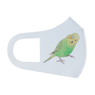 首傾げセキセイインコ　ピーちゃん【まめるりはことり】