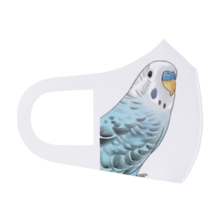 振りむきセキセイインコちゃん【まめるりはことり】