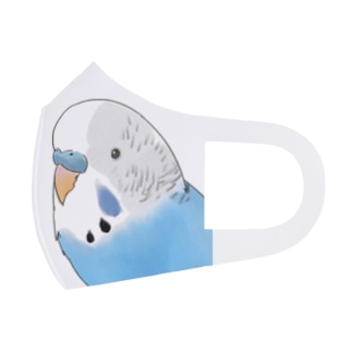 見つめるセキセイインコちゃん【まめるりはことり】