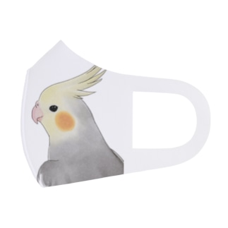 見つめるオカメインコちゃん【まめるりはことり】