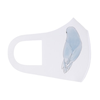 見返り美人マメルリハちゃん【まめるりはことり】