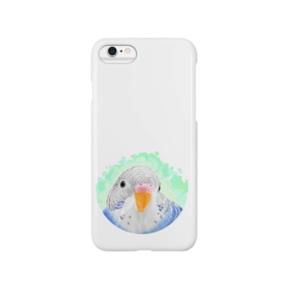 セキセイインコ　オパーリン【まめるりはことり】