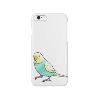 ごきげんセキセイインコ【まめるりはことり】