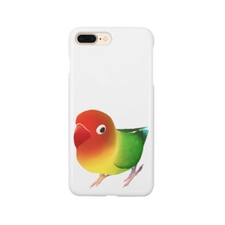 おすましルリゴシボタンインコ【まめるりはことり】