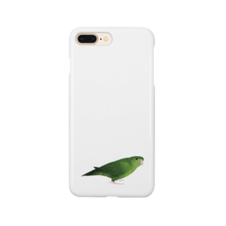 サザナミインコ　グリーン【まめるりはことり】