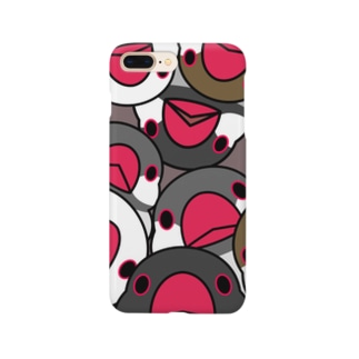 みっちりむっちり過密文鳥さん【まめるりはことり】