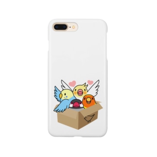 拾ってくださいインコ【まめるりはことり】