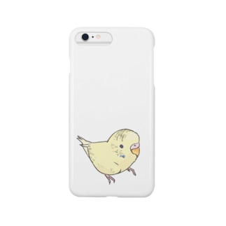 可愛いセキセイインコ　おすましちゃん【まめるりはことり】