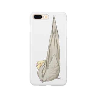 尾羽がピン　可愛いオカメインコちゃん【まめるりはことり】