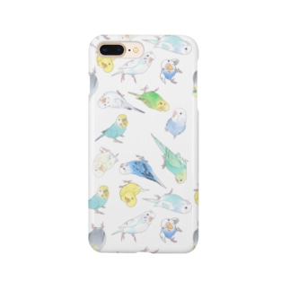 めっちゃセキセイインコちゃん【まめるりはことり】