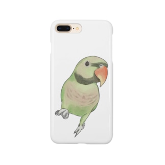 ご機嫌なダルマインコちゃん【まめるりはことり】