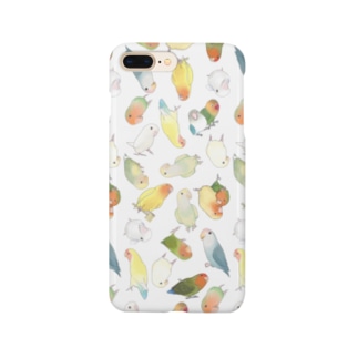 たっぷりラブバード（コザクラインコ・ボタンインコ）ちゃん【まめるりはことり】