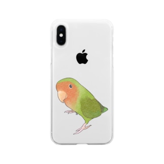 見つめるコザクラインコちゃん【まめるりはことり】