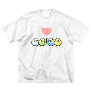 ハイタッチなかよしセキセイインコ【まめるりはことり】