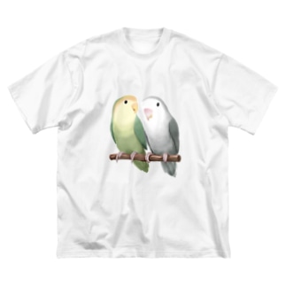 コザクラインコ　モーブとオリーブ【まめるりはことり】