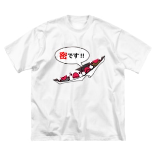 密です！フィンチさん【まめるりはことり】