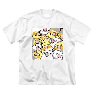 みっちりむっちり過密オカメインコさん【まめるりはことり】【まめるりはことり】