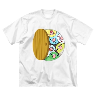 三密です！むちむちマメルリハさん【まめるりはことり】