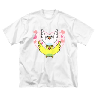 ラブリーセキセイインコ【まめるりはことり】