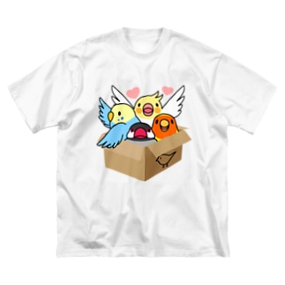 拾ってくださいインコ【まめるりはことり】