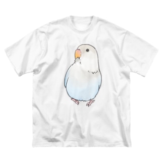 おすましコザクラインコ　らむねちゃん【まめるりはことり】