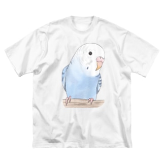 おしゃまな止まり木セキセイインコちゃん【まめるりはことり】