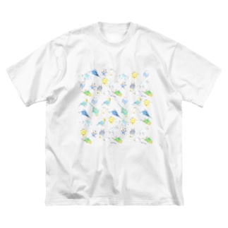 めっちゃセキセイインコちゃん【まめるりはことり】