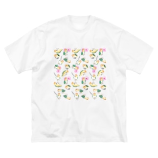 たっぷりシロハラインコちゃん【まめるりはことり】