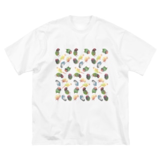 たっぷりウロコインコちゃん【まめるりはことり】